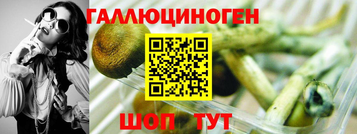 Галлюциногенные грибы мицелий  Вход с VPN  Дубна 